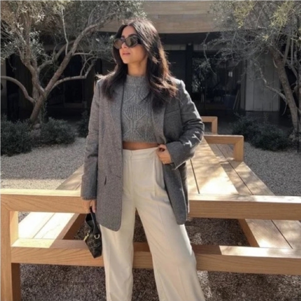 Everlane The Oversized Blazer Wool Gray Herringbone Boyfriend Fit Classic Sz 0 - Picture 16 of 16